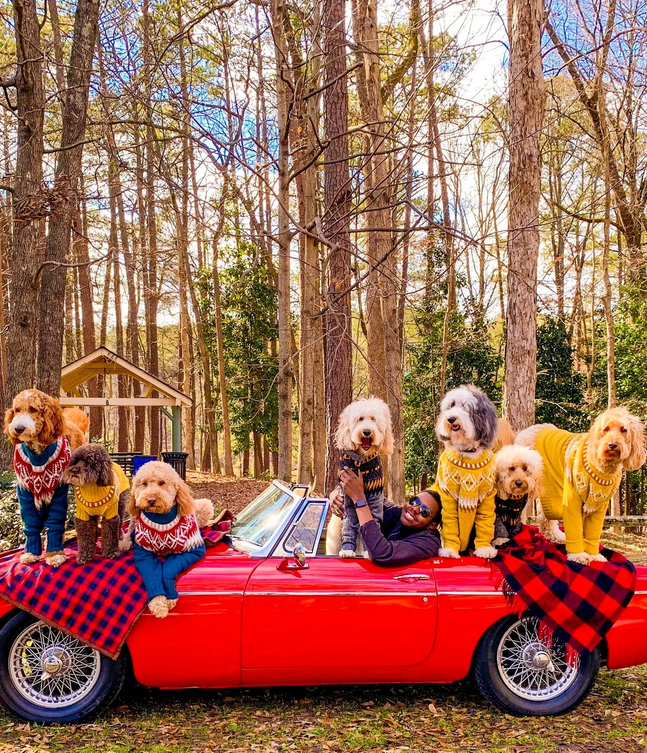 DJ Many in a red convertible with dogs in tiger hats